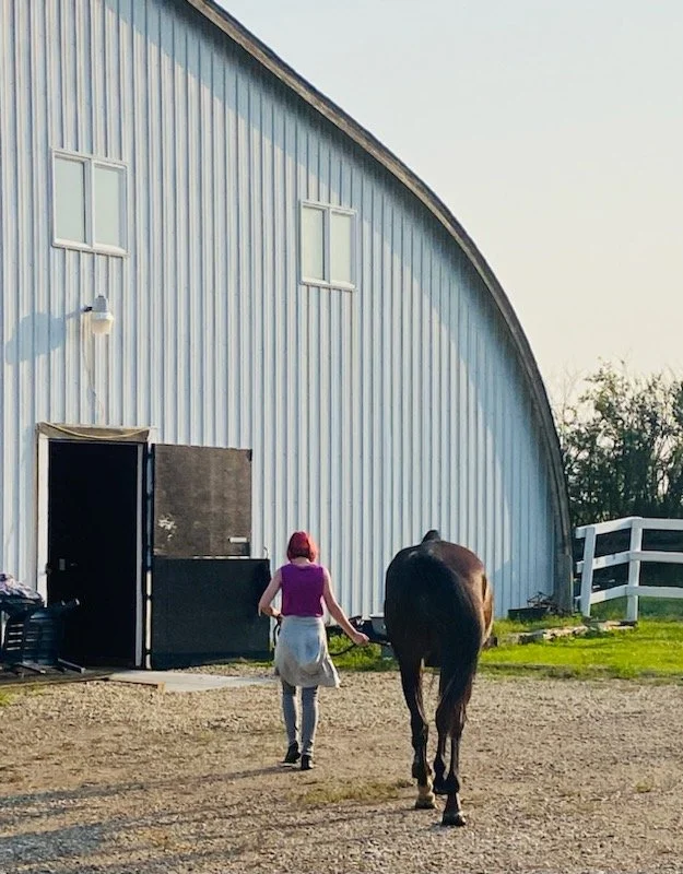 Equine Therapy Mirroring