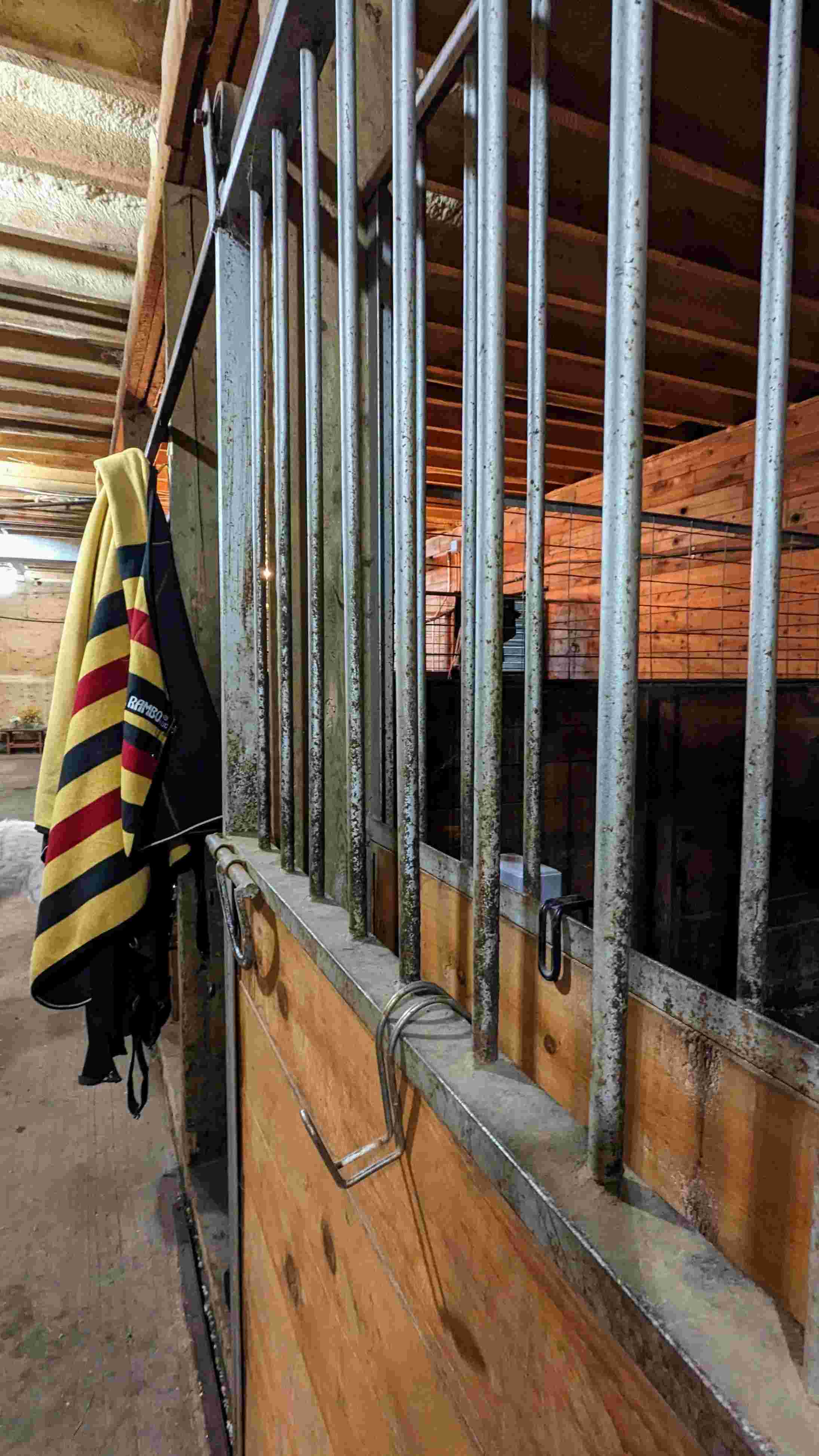 Equine Therapy Setting