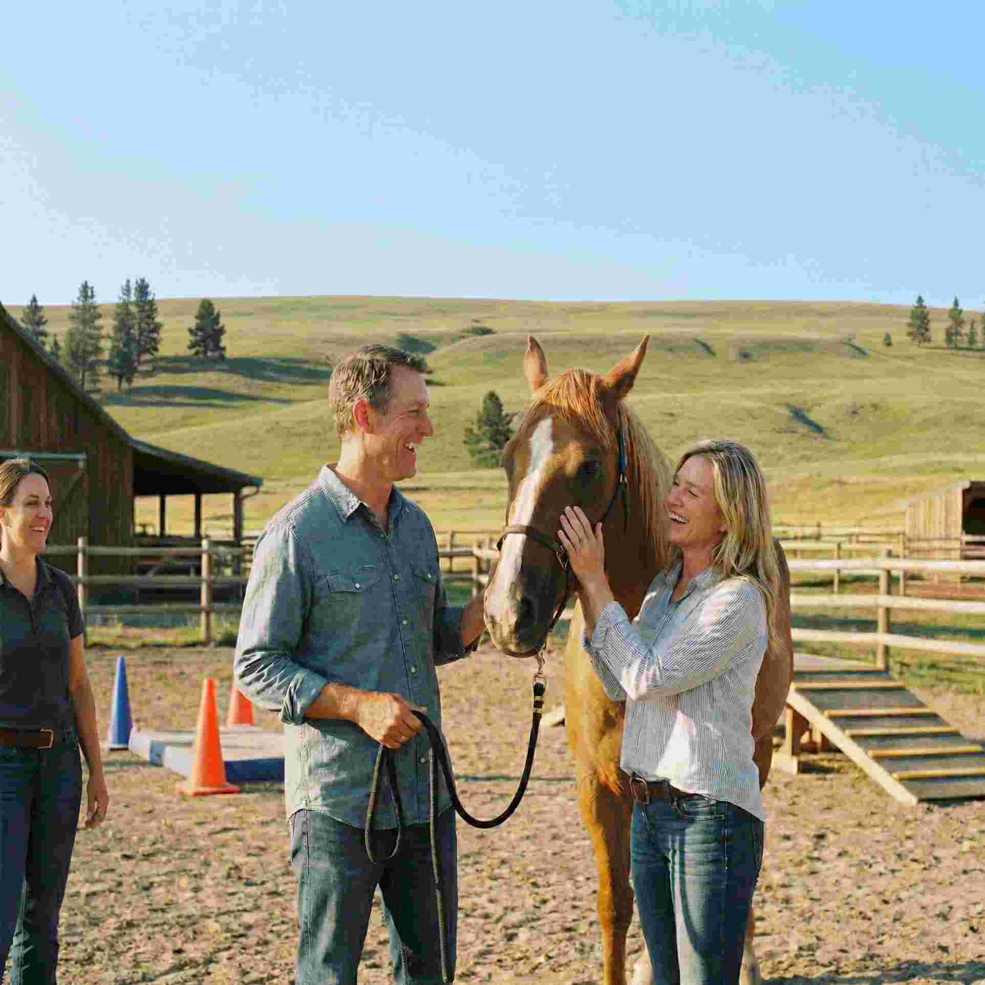 Equine Therapy